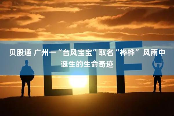 贝股通 广州一“台风宝宝”取名“桦桦” 风雨中诞生的生命奇迹
