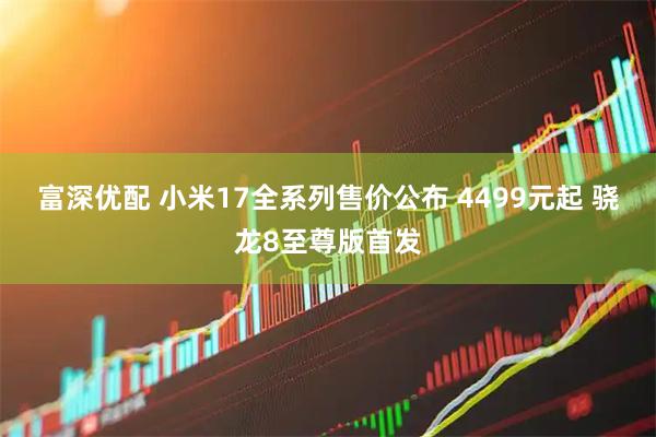 富深优配 小米17全系列售价公布 4499元起 骁龙8至尊版首发