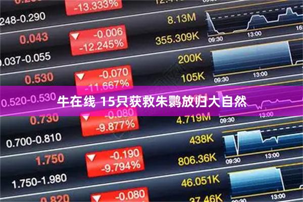 牛在线 15只获救朱鹮放归大自然