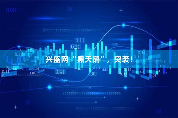 兴盛网 “黑天鹅”，突袭！
